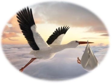 GRANTING MIRACLES DONOR-FUNDED STORK PROGRAM